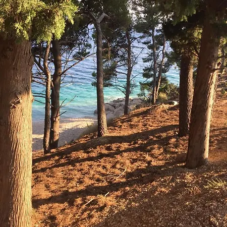 Quiet Place With A Beautiful View דירה *